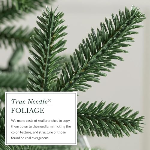Balsam Hill European Silver Fir - Elegant Artificial Christmas Tree with True Needle Foliage Available Unlit or with LED Clear Lights, Unlit, 5'