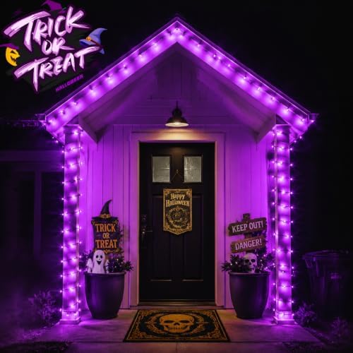 OZS Connectable 2-Pack 164Ft 400LED Halloween String Lights, Purple