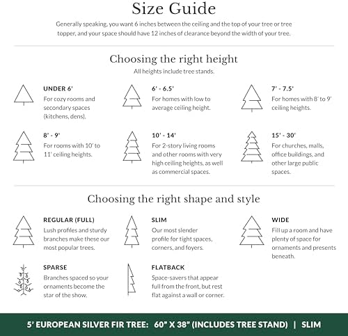 Balsam Hill European Silver Fir - Elegant Artificial Christmas Tree with True Needle Foliage Available Unlit or with LED Clear Lights, Unlit, 5'