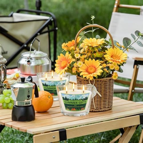 2 Pack 3-Wick Glass Cup Citronella Candles(14oz), Natural Soy Wax Clean Burning & Smokeless,citronella Scented Candle & Outdoor Candle,Camping Bar Counter Yard, Summer Gift.