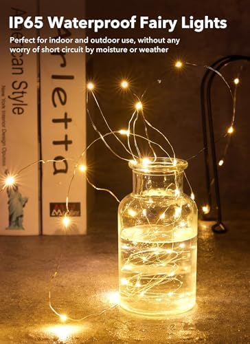 Brightown 24 Pack Fairy Lights Battery Operated for Holiday Decor