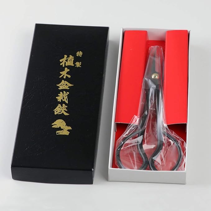 Wazakura Satsuki Bonsai Scissors, Made in Japan 7 inch (180 mm), Japanese Bonsai Garden Tools, Hasami Pruning Shears - Satsuki Style, Black
