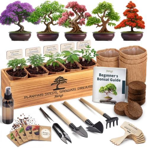 Bonsai Tree Kit Deluxe - Growing 5 Unique Japanese Bonzai Trees