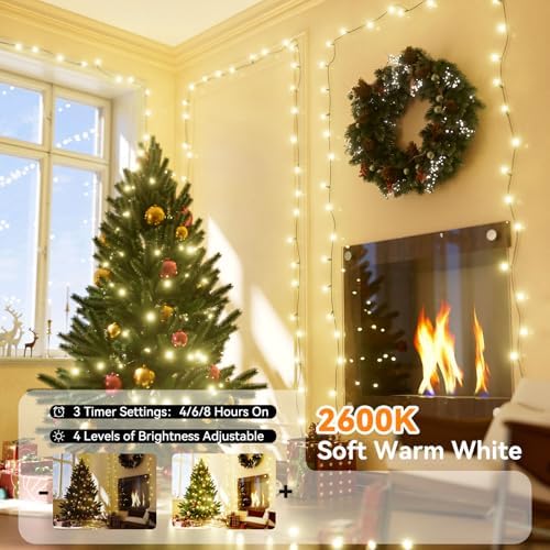 LitHome Color Changing Christmas String Lights Outdoor, 164Ft 500 LED