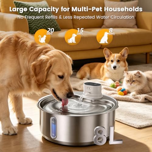 Invengo 8L/270oz Cordless Stainless Steel Dog Water Fountain, 1 Filter