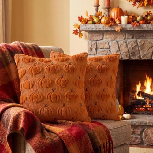 Softalker Fall Throw Pillow Covers 20x20 Set of 2 Rust Plush Pumpkin Covers