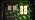 Christmas Laser Lights, Projector Lights Landscape Spotlight Red and Green Star Show with Christmas Decorative Patterns for Indoor Outdoor Garden Patio Wall