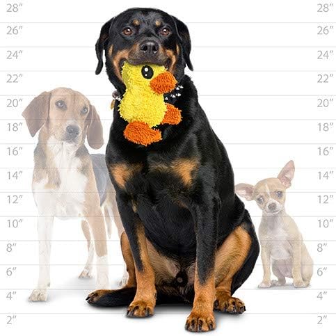 MIGHTY® 2 Pack Microfiber Medium Duck Dog Toys | Ultra Durable Plush Toy with Multiple Layers & Reinforced Seams , Washable and Floats , Mighty® Construction