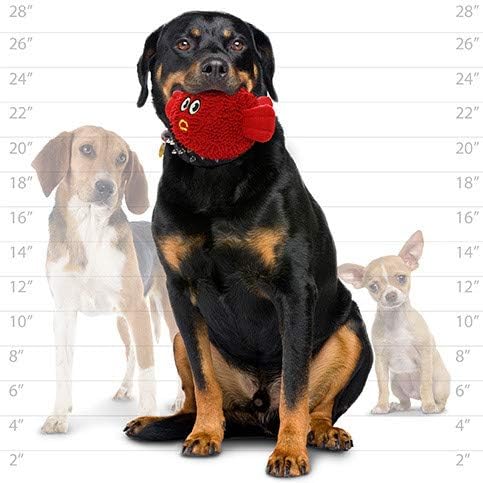 MIGHTY® 2 Pack Microfiber Medium Blowfish Dog Toys | Ultra Durable Plush Toy with Multiple Layers & Reinforced Seams , Washable and Floats , Mighty® Construction