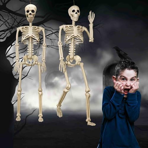2 Pack 36"Halloween Skeleton - 3 ft Life Size Human Skeleton with Full Body Posable Joints Plastic Skeleton for Halloween Skeletons Decor Yard Patio Lawn Garden Skeleton Props Spooky Party Decoration
