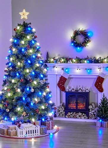 C9 Christmas Lights Outdoor, 100Ft 50 LED Blue & Pure White String Lights