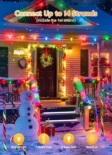 Vintage C9 Christmas Lights Outdoor, 100Ft 50 LED Multicolor String Lights