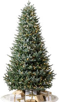 Balsam Hill European Silver Fir - Elegant Artificial Christmas Tree with True Needle Foliage Available Unlit or with LED Clear Lights, LED Clear, 9'