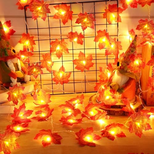 Timer - 2 Pack Fall Garland with Lights Total 20Ft 40LED Battery Operated