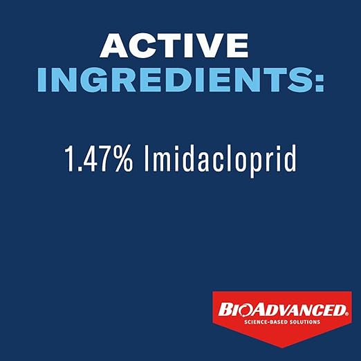 BioAdvanced 12 Month Tree & Shrub Protect and Feed Concentrate - Mix & Pour - Insect Control and Plant Food - Up to 12 Months Protection - 1 gal Bottle