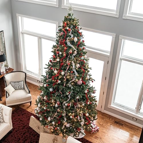 Northlight Pre-Lit Northern Full Artificial Christmas Tree with Clear Lights, 14'