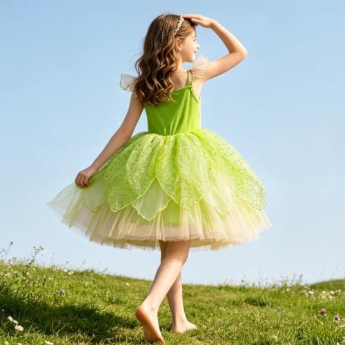 Fairy Costume for Girl Dress Up Halloween Cosplay with Wig