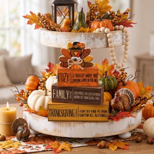 Moucuny 4 Pcs Thanksgiving Table Decoration, Cozy Turkey Wooden Block Signs