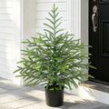 2 Ft Real Touch Christmas Tree with Lights, Realistic Norfolk Pine Tree