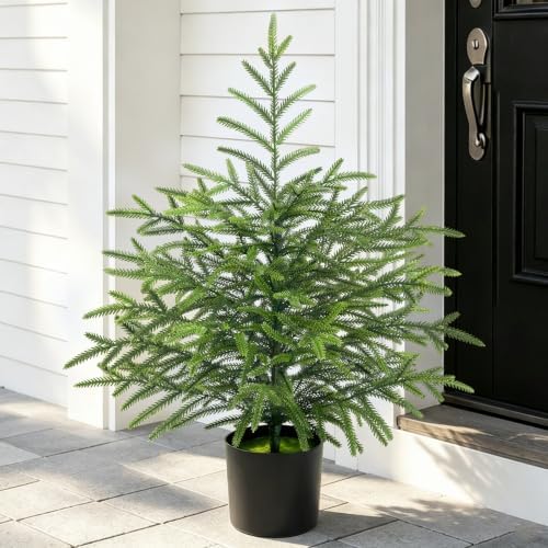 2 Ft Real Touch Christmas Tree with Lights, Realistic Norfolk Pine Tree