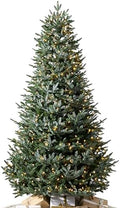 Balsam Hill European Silver Fir - Elegant Artificial Christmas Tree with True Needle Foliage Available Unlit or with LED Clear Lights, LED Clear, 6'