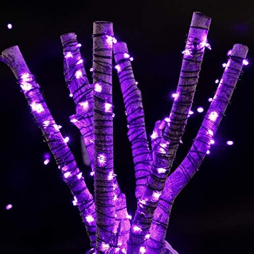 Brightown 12 Pack Purple Fairy Lights Battery Operated for Halloween Decor