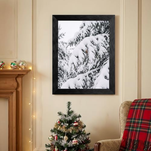 Framed Winter Pine Canvas Wall Art, Snow Landscape, Black Frame Inch 8x10