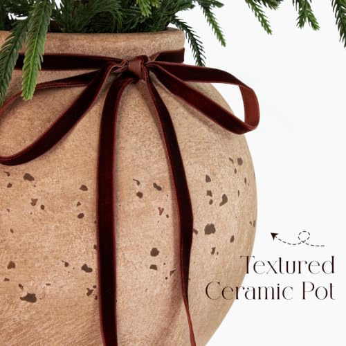 Christmas Decorations - 32" Real Touch Artificial Pine Tree in Ceramic Pot