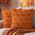Softalker Fall Throw Pillow Covers 12x12 Set of 2 Small Rust Pumpkin Covers