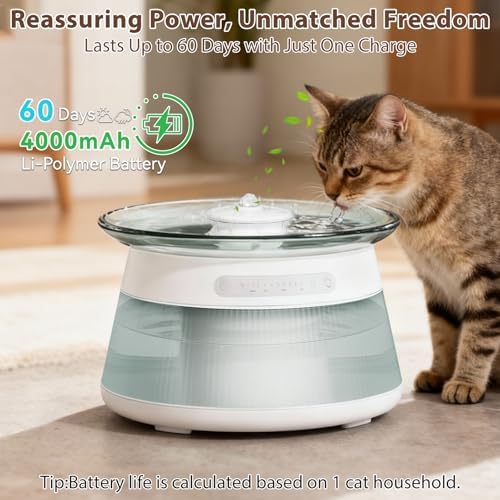 Smart Cat Water Fountain, Filterless Automatic Cat Drinking Fountain