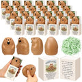 12 Sets Positive Gifts Groundhog Figurine with Support Boxes