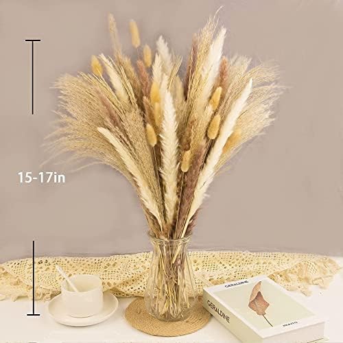 65PCS Pampas Grass Decor, Including pompas Floral, Reed Dried Grass and Bunny Tails Dried Flowers, Natural Dried Pampas Grass Bouquet for Boho Decor Wedding, Home Decoration (Pack of 2)