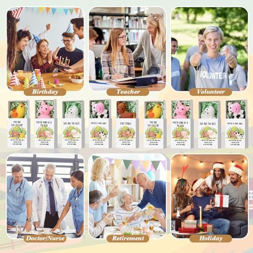 10 Sets Positive Gift Farm Animal Birthday Party Favors with Support Boxes