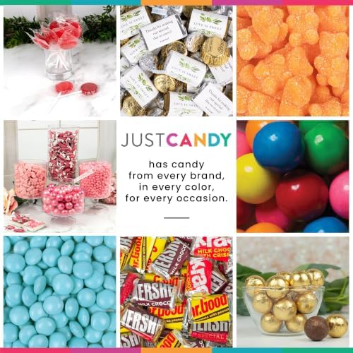 268 Pcs Halloween Candy Tricky Treats Chocolate Candy Mix (66oz)