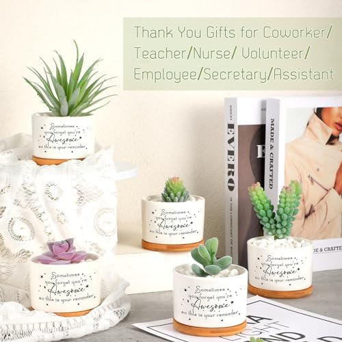12 Pcs Inspirational Succulent Pots Thank You Employees Gifts Bulk