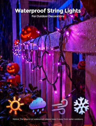 20FT Purple Outdoor Halloween String Lights for Indoor Haunted House Decor