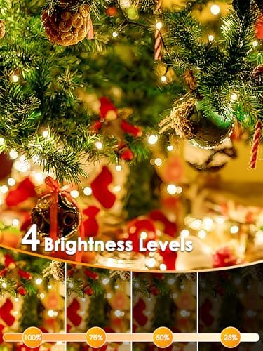OZS Connectable 2PK 400LED, 164FT Christmas String Lights with Remote