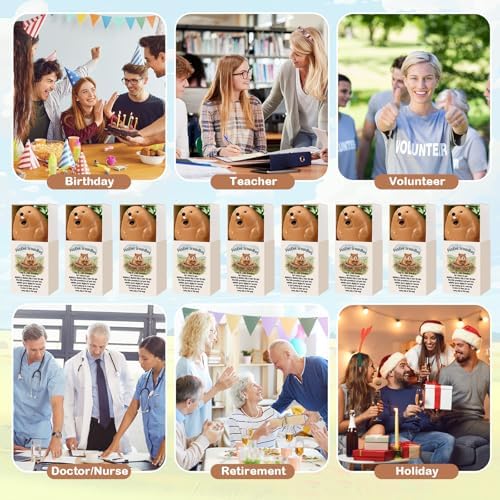 12 Sets Positive Gifts Groundhog Figurine with Support Boxes