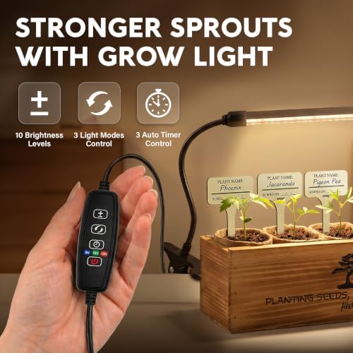 Bonsai Tree Kit Deluxe + Growing Light - 5X Unique Japanese Bonzai Trees