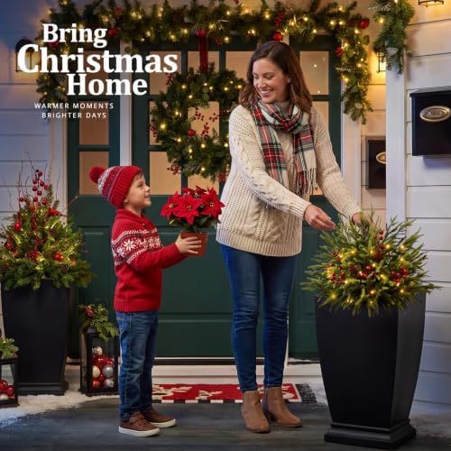 2 Pack 25.5 Inch Outdoor Lighted Christmas Trees, Yard Holiday Decor