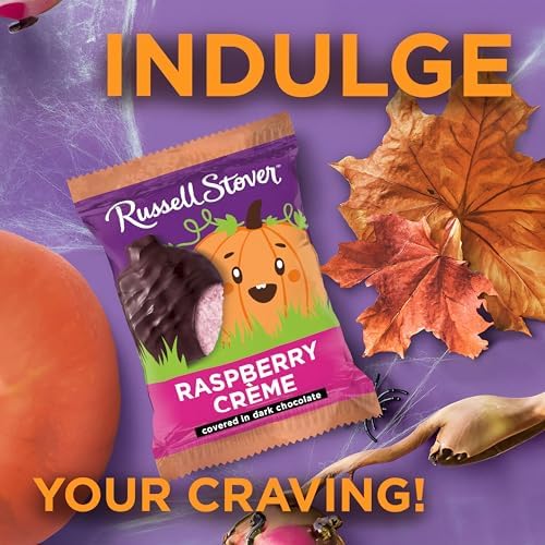 RUSSELL STOVER Halloween Dark Chocolate Raspberry Crème Pumpkin, 1.3 oz. (Pack of 18) - Bulk Halloween Candy