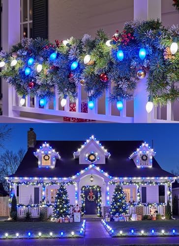 C9 Christmas Lights Outdoor, 100Ft 50 LED Blue & Pure White String Lights