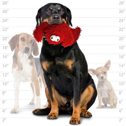 MIGHTY® 2 Pack Microfiber Medium Lobster Dog Toys | Ultra Durable Plush Toy with Multiple Layers & Reinforced Seams , Washable and Floats , Mighty® Construction