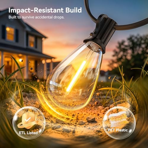 30FT Outdoor String Lights with Remote, Waterproof Patio Lights with 10+1 Shatterproof LED Bulbs,Dimmable Hanging Decor for Backyard Garden Porch Bistro, Timer & 3 Modes,2700K Warm White
