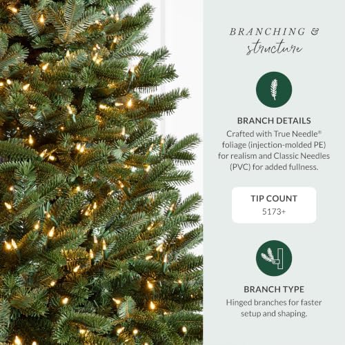 Balsam Hill BH Fraser Fir - Full Christmas Tree with Most Realistic True Needle Foliage, Easy Plug Technology & Multiple Height and Lighting Options, LED Clear, 10ft