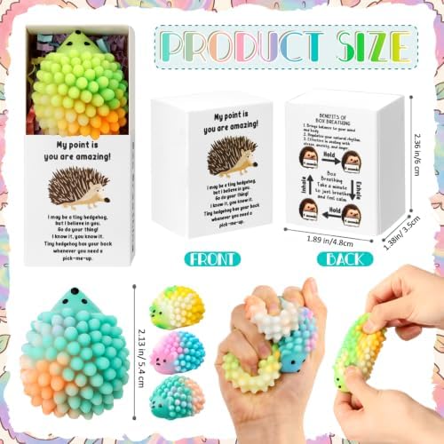 24 Sets Hedgehog Gifts with Support Boxes