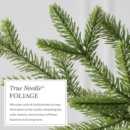 Balsam Hill 6ft Pre-Lit Alpine Christmas Tree - Sparse Artificial Christmas Tree with 200 Clear LED Fairy Lights, Pre-Fluffed Memory Wire Branches & Easy Plug Technology for Small Spaces