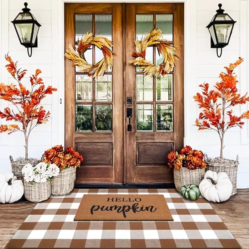 Homydecor Buffalo Plaid Outdoor Rugs, 3'x5' Coffe and White Checkered Area Rug, Layering Rug for Hello/Welcome Door Mat, Washable Cotton Woven Farmhouse Mat for Front Porch Décor