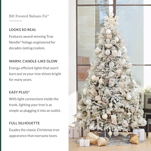 Balsam Hill Frosted BH Balsam Fir - Snow-Kissed Artificial Christmas Tree with True Needle Foliage and LED Clear Lights, 6.5'