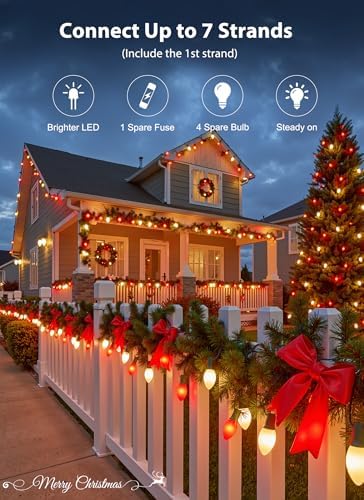 Vintage Christmas Lights Outdoor, 100Ft C9 String Lights with 100 LED Bulbs